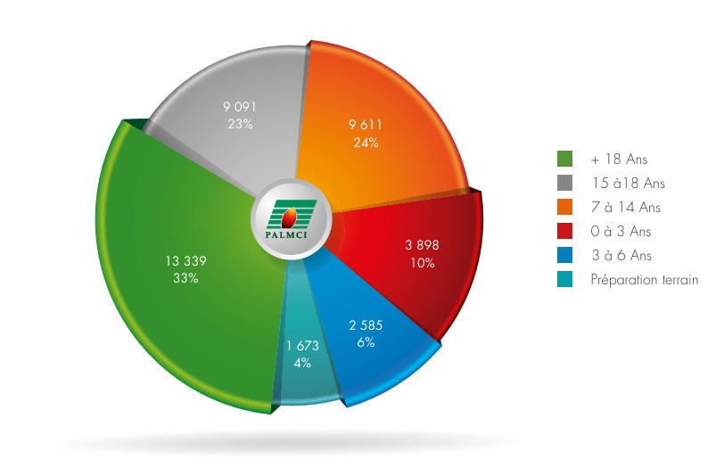 repartition verger 2025